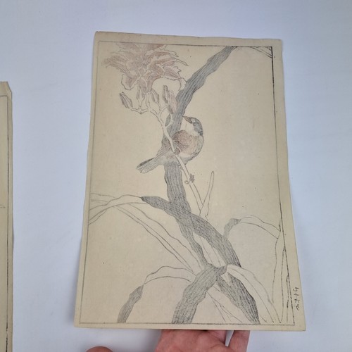 Bairei Kono Vintage Japanese Woodblock Print Bird On A Flowering Branch - Picture 19 of 19