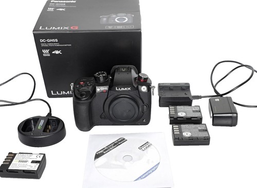 Panasonic LUMIX GH5 ボディ　おまけ付き Panasonic Lumix DC-GH5 GH5 Body To Lens Connection Ring Bayonet