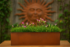 Rustic Flower Pot Rectangle Metal Garden Rusty Trough Planters Window Box