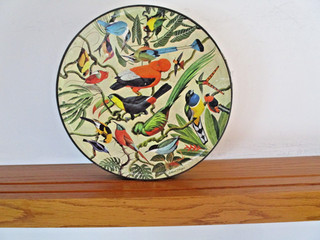 Complete 500 Piece 1968 Springbok Puzzle. Tropical Birds.