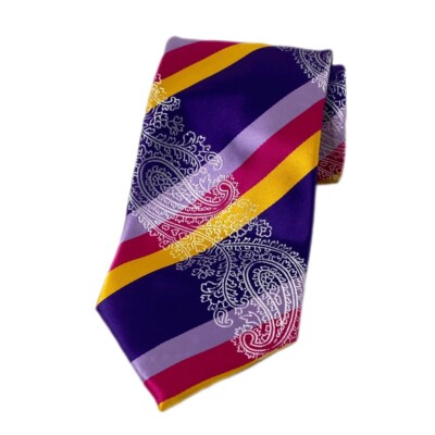 Bruno Conte Mens Necktie by Don Jonathan Multicolor Striped Paisley