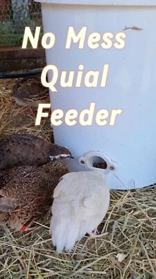 SR-3D Quail feeder No more wasted food Set of 4 Free delivery