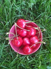 Digital Image Picture Photo Wallpaper Background Beautiful Art # 1007