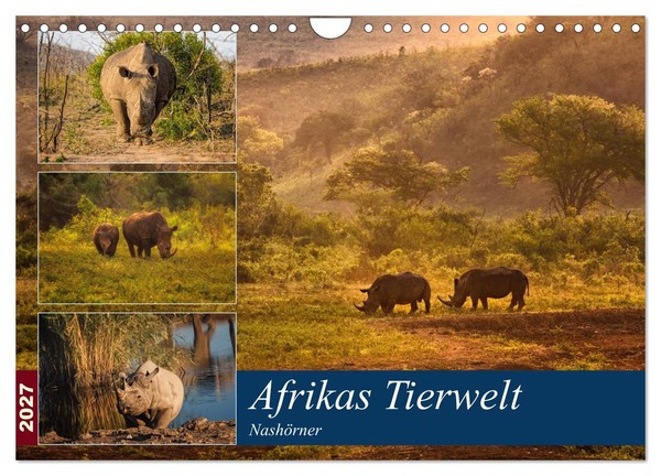 "Calendar 2027 · US Version · Africa's Wildlife: Rhinos (Wall Calendar 2027 12\" ×"-image
