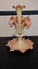 Fenton Centennial 2005 Pink Fenton Epergne Vase 5 Trumpet Horns #531 of 1250