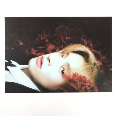 ENHYPEN] DARK BLOOD / Bite Me / New Ver. Official Postcard | eBay