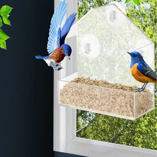 Clear Window Bird Feeder with Strong Suction Cups Wild Bird Feeder Bird Watching - Picture 12 of 15