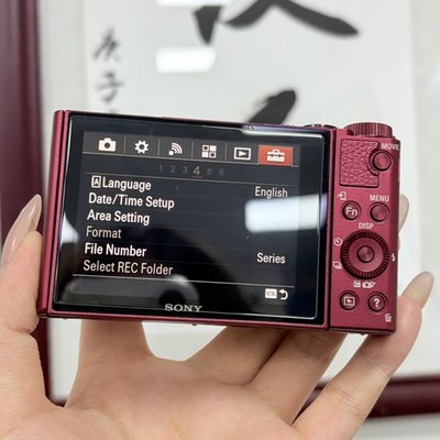 Sony Cyber-shot DSC-WX500 Camera - 30x ZEISS Zoom, 180° Flip