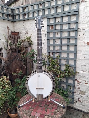 Schönes 1989 Deering Deluxe D-12 Banjo. Sehr selten. Joe Satriani.