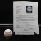 Ted Williams Signed Rawlings OAL Baseball Red Sox Autograph JSA LOA ZJ22900