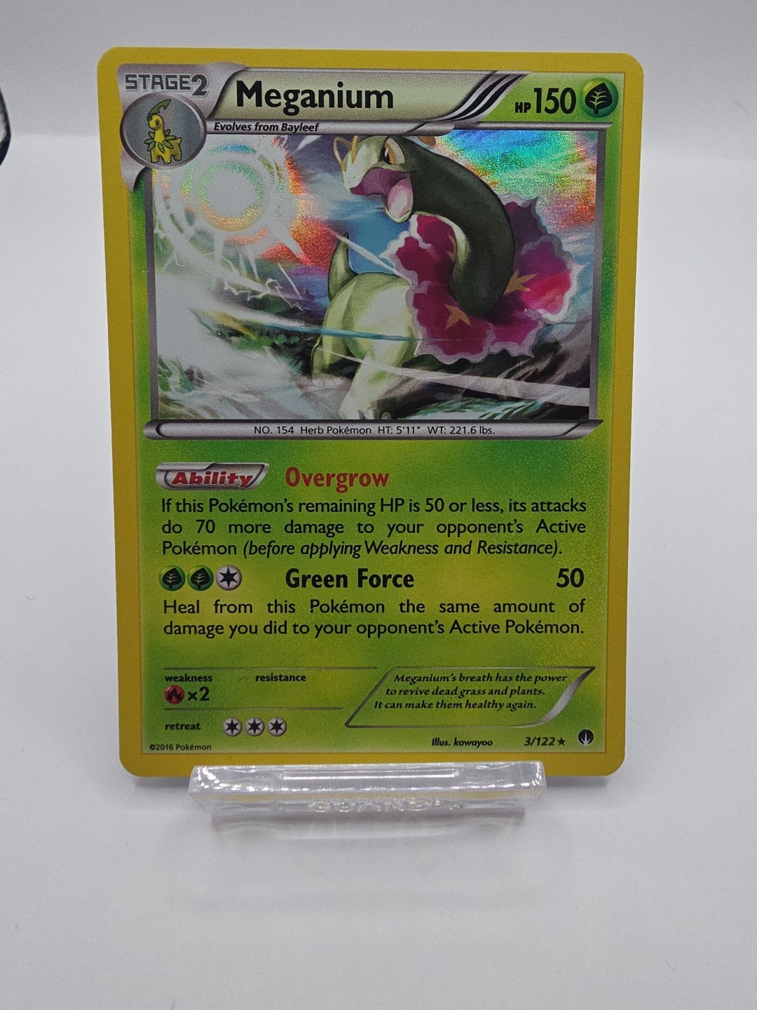 Pokemon TCG Meganium 3/122 Holo 