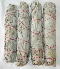 CALIFORNIA WHITE  Sage  Smudge Stick  Herb 10 BUNDLES 6 " (FREE expedite ship)