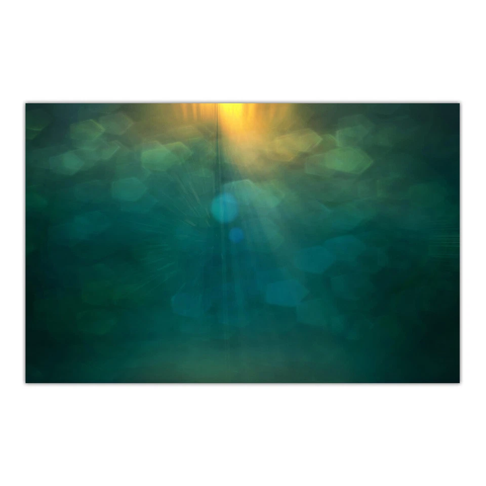 Serie Verde Arte Vinilo Fondo Paño Fotografía Telón de Fondo Accesorios Estudio Fotográfico Foto 3 de 4