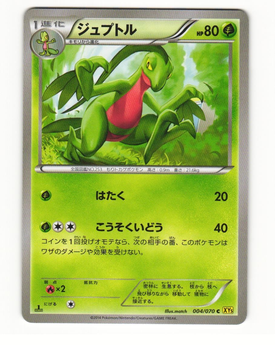 Grovyle 004/070 Common 2014 Gaia Volcano Pokemon Japanese NM