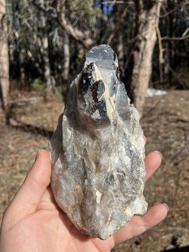 HUGE Smoky Quartz From California, Morion Quartz, Smokey Quartz