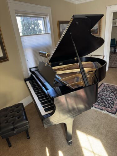 K Kawai KG 3C Black Ebony Finish 6'1" Three Pedal Grand Piano with Stool & Light