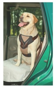 top paw car harness