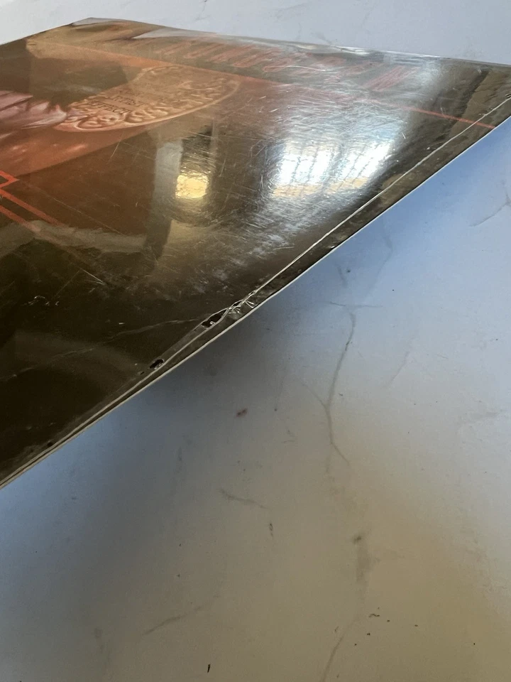 Todd Rundgren: Ever Popular Tor../Videosyncracy Music Laserdisc NEW SEALED - Image 4 of 4