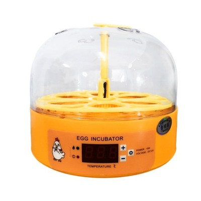 6-Eier-Inkubator, mit Eierlicht und automatischer Eierwendefunktion, Wärme- und