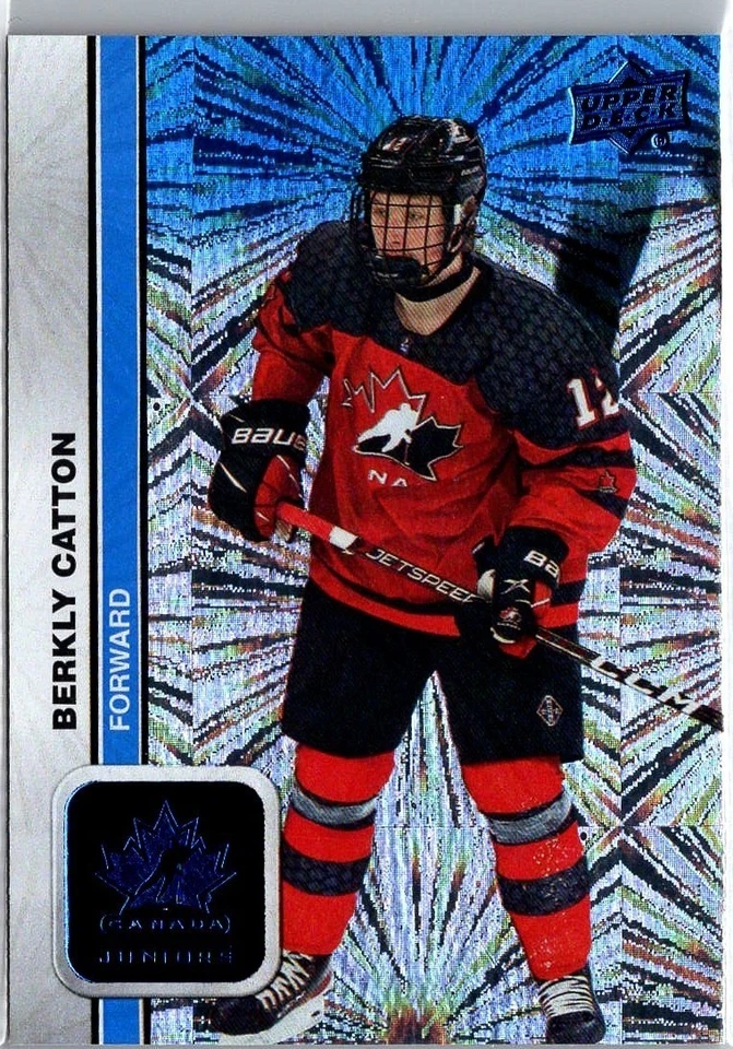 Blue Patterned Foilboard