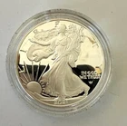 2021 W Type 2  U.S. Mint Proof Silver Eagle W/ COA  & OGP  21EAN