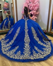 Applique Royal Blue Ball Gown Quinceanera Dress Gowns Lace Up Princess Birthdays