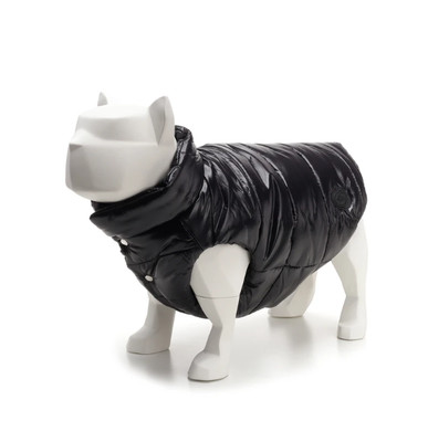 greenheart puppy all breeds