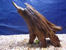 Driftwood Aquarium Reptile Terrarium Home Beach Decor Garden Art Taxidermy