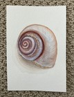 Picture 2 of 4