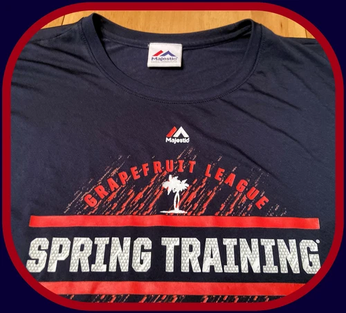 MINNESOTA TWIN MAJESTIC GRAPEFRUIT LEAGUE SPRING TRAINING ADULT 2XL JERSEY SHIRT - Picture 5 of 5
