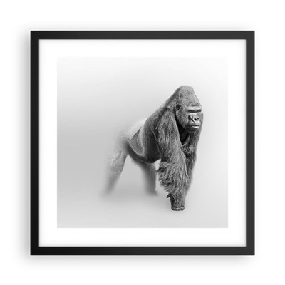 Wandbilder 40x40cm Poster Orang-Utan Tier Wandposter Bilder Wall Art Wanddeko