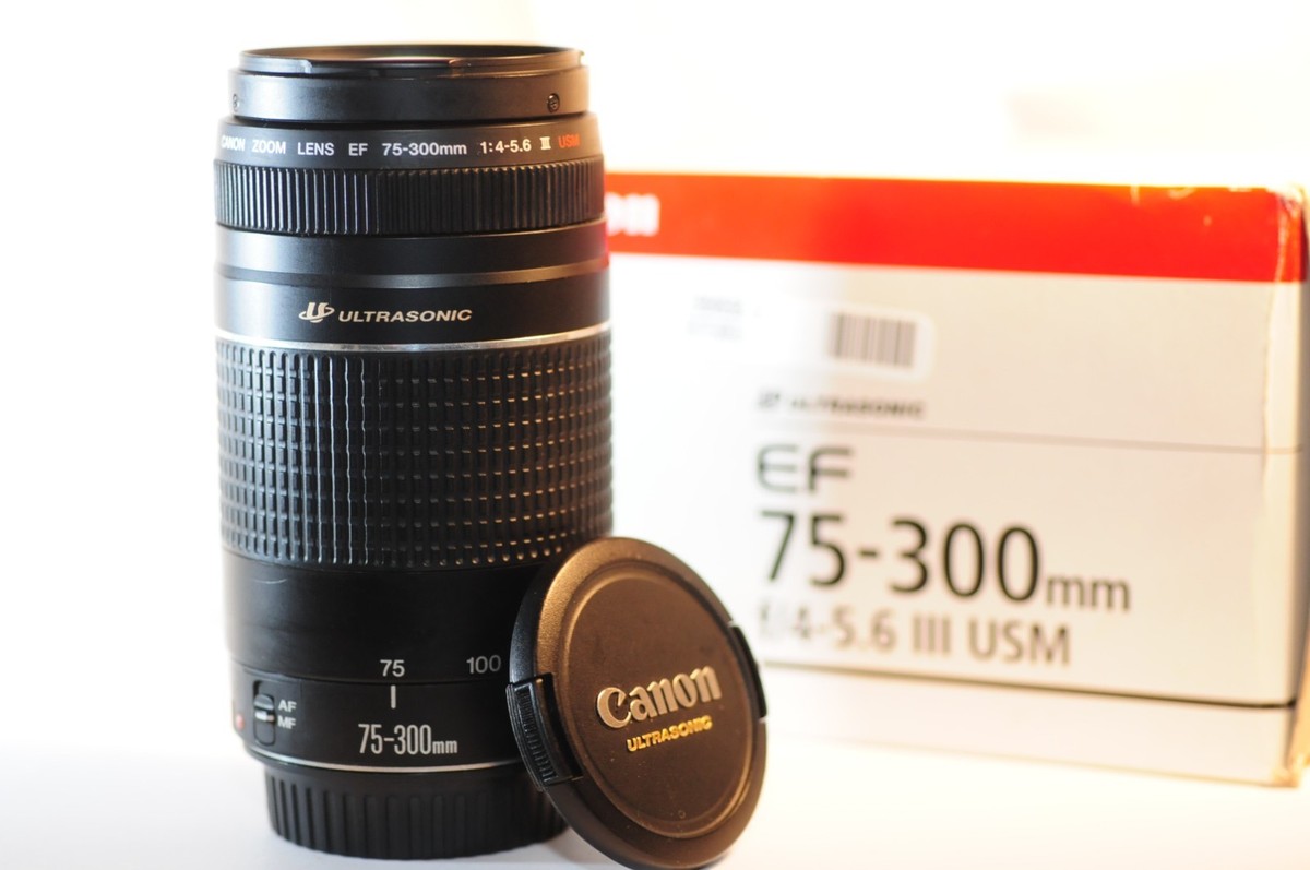 Canon ZOOM LENS EF 75-300mm 4-5.6 II (8) 【公式通販】