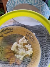🥛🍶🥣🤍Kefirpilz, Milchkefir, Kefir, gesund und lecker 😋🤍🥣🍶🥛