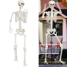 Lodou 7.9ft Halloween Giant Skeleton Full Body Realistic Bones Adjustable
