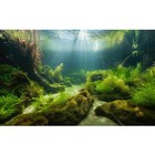 Ocean Floor Fish Tank Background Underwater Stone Aquarium Background 48x24in