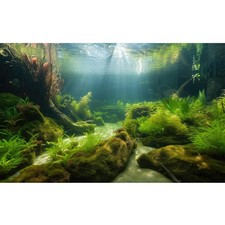 Ocean Floor Fish Tank Background Underwater Stone Aquarium Background 48x24in