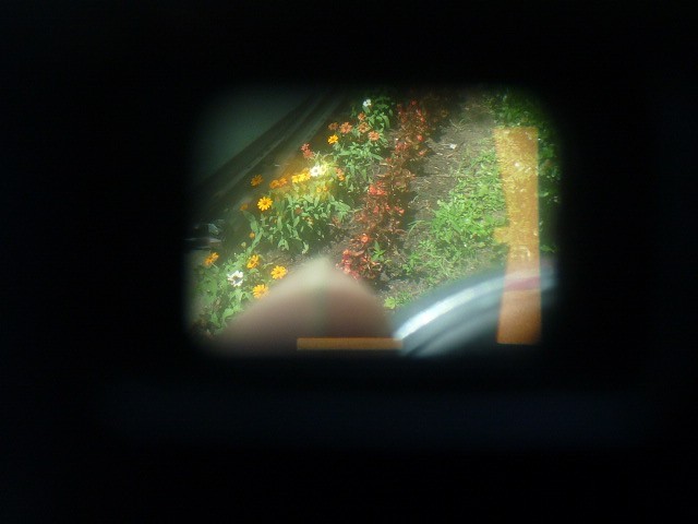 Imagen 18 de 19