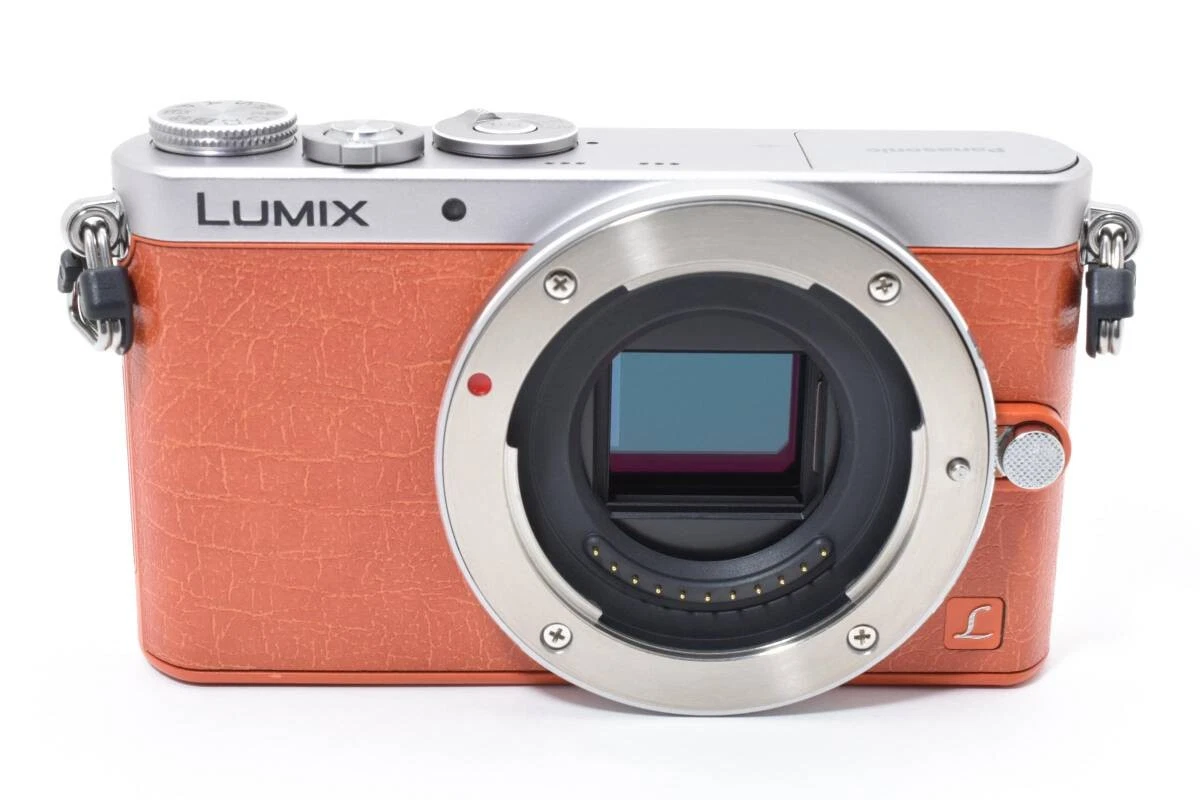 Panasonic LUMIX GM1 14-16.9MP Digital Cameras for Sale | Shop New