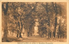 21-ARNAY LE DUC-N�3019-A/0257