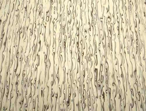 2Mm Betulla Venatura Venatura Di Betulla SaRaiFo Impiallacciatura 4X 62X20-21Cm - Bild 4 von 5