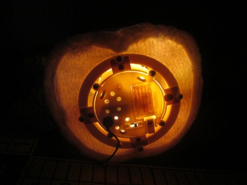 Skippie The Fiber Optic Bunny - Imagen 10 de 13