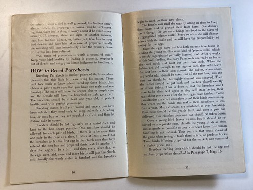 Budgies (Parrakeets) as Pets - Care & Breeding - 34 Pages - 1955 - Free Shipping - Picture 11 of 13