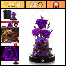 Forever Preserved Purple Rose in Glass Dome - Valentine's Day Gifts for Her, Ann