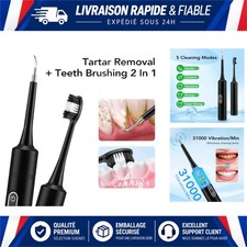 Détartreur dentaire électrique sonique 31000 vibrations avec brosse à dents