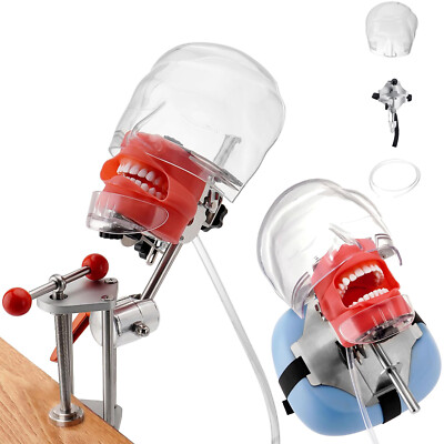 New Dental Simulator Mannequin Head Teeth Model for Demonstration Education US