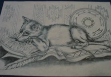 * TRI CHEM 7613 COYOTE PUP UGLY CUTE Liquid Embroidery Picture to paint TRICHEM