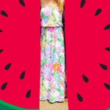 Lilly Pulitzer For Target Multi color Floral Maxi Strapless Women Small Dress
