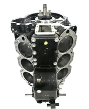438930 FICHT Evinrude Powerhead with Cylinder Heads 135 150 175 HP V6 2000-2006