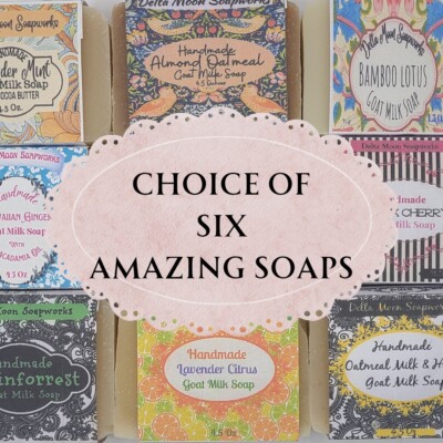 Lot of SIX Handmade  Goat Milk Soap, Your Choice of 6, + samples, ships fast 