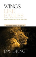 David King | Wings Like Eagles | Taschenbuch | Englisch (2024)